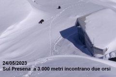 15_presena_24_05_2023