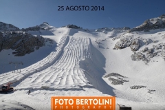 Presena 25/08/2014